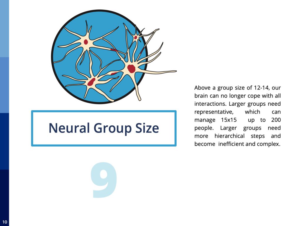 12 Pillars of Participation - Neural Group Size